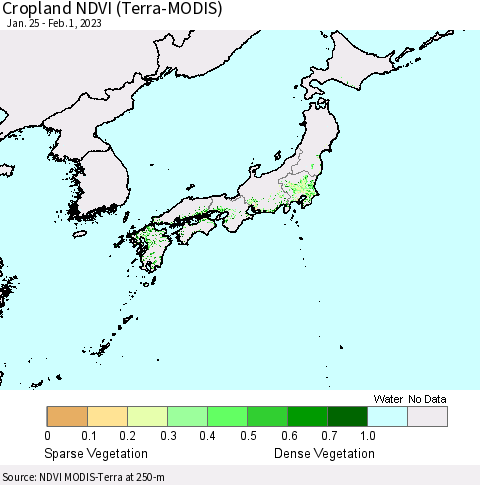 Japan Cropland NDVI (Terra-MODIS) Thematic Map For 1/25/2023 - 2/1/2023