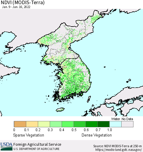 Korea NDVI (Terra-MODIS) Thematic Map For 1/11/2022 - 1/20/2022