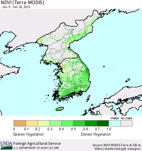 Korea NDVI (Terra-MODIS) Thematic Map For 1/11/2023 - 1/20/2023