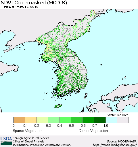 Korea Cropland NDVI (Terra-MODIS) Thematic Map For 5/11/2018 - 5/20/2018