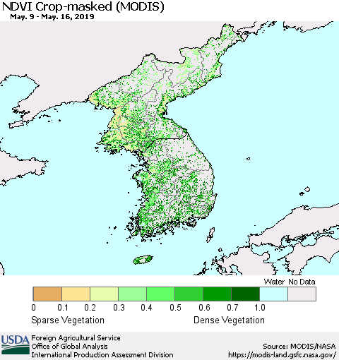Korea Cropland NDVI (Terra-MODIS) Thematic Map For 5/11/2019 - 5/20/2019