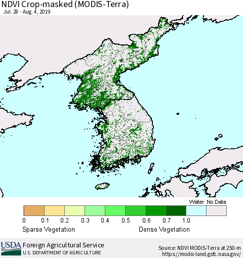 Korea Cropland NDVI (Terra-MODIS) Thematic Map For 8/1/2019 - 8/10/2019