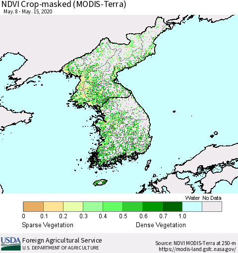 Korea Cropland NDVI (Terra-MODIS) Thematic Map For 5/11/2020 - 5/20/2020