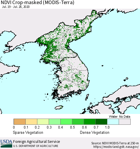 Korea Cropland NDVI (Terra-MODIS) Thematic Map For 7/21/2020 - 7/31/2020