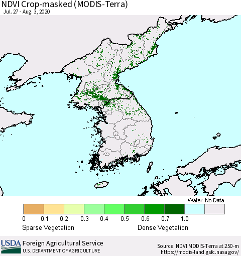 Korea Cropland NDVI (Terra-MODIS) Thematic Map For 8/1/2020 - 8/10/2020