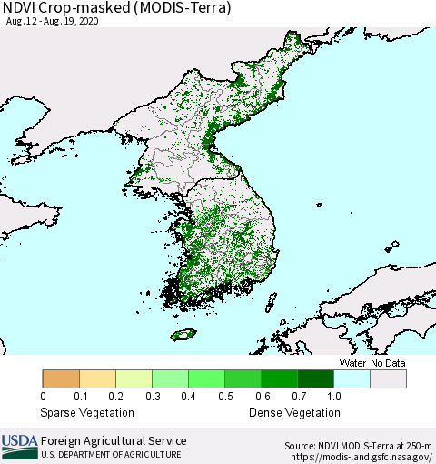 Korea Cropland NDVI (Terra-MODIS) Thematic Map For 8/11/2020 - 8/20/2020