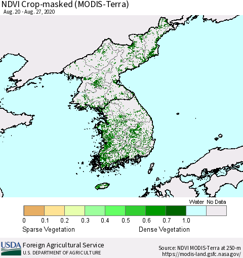 Korea Cropland NDVI (Terra-MODIS) Thematic Map For 8/21/2020 - 8/31/2020