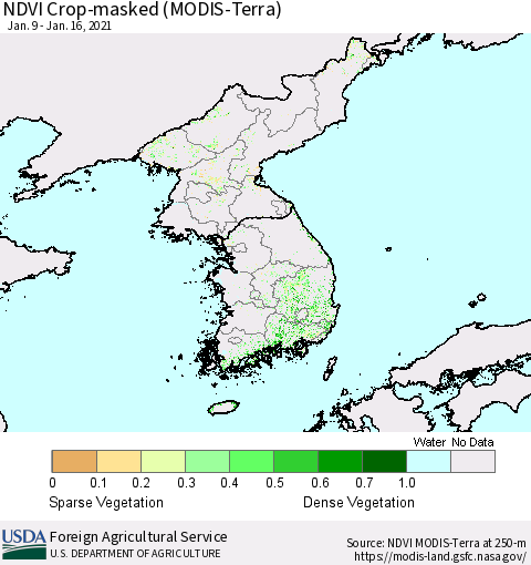 Korea Cropland NDVI (Terra-MODIS) Thematic Map For 1/11/2021 - 1/20/2021