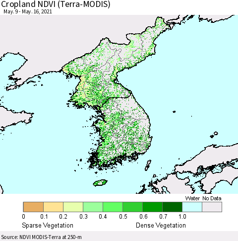 Korea Cropland NDVI (Terra-MODIS) Thematic Map For 5/9/2021 - 5/16/2021