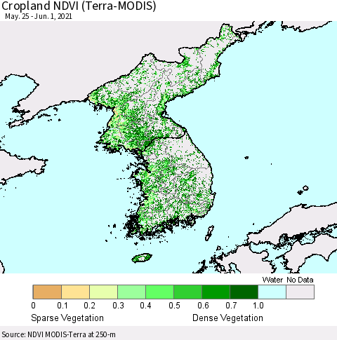 Korea Cropland NDVI (Terra-MODIS) Thematic Map For 5/25/2021 - 6/1/2021