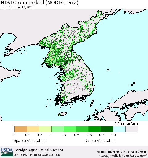 Korea Cropland NDVI (Terra-MODIS) Thematic Map For 6/11/2021 - 6/20/2021