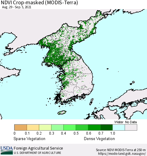 Korea Cropland NDVI (Terra-MODIS) Thematic Map For 9/1/2021 - 9/10/2021