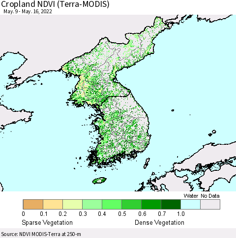 Korea Cropland NDVI (Terra-MODIS) Thematic Map For 5/9/2022 - 5/16/2022