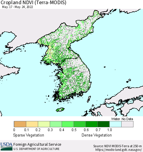 Korea Cropland NDVI (Terra-MODIS) Thematic Map For 5/21/2022 - 5/31/2022