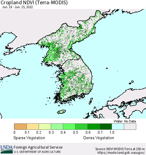 Korea Cropland NDVI (Terra-MODIS) Thematic Map For 6/21/2022 - 6/30/2022