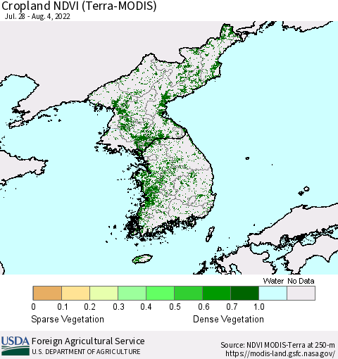 Korea Cropland NDVI (Terra-MODIS) Thematic Map For 8/1/2022 - 8/10/2022