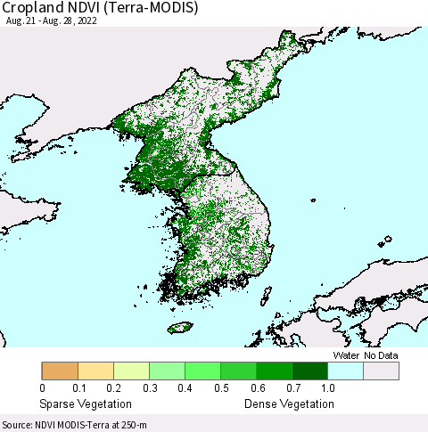 Korea Cropland NDVI (Terra-MODIS) Thematic Map For 8/21/2022 - 8/28/2022