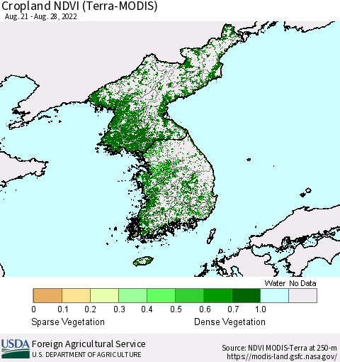 Korea Cropland NDVI (Terra-MODIS) Thematic Map For 8/21/2022 - 8/31/2022