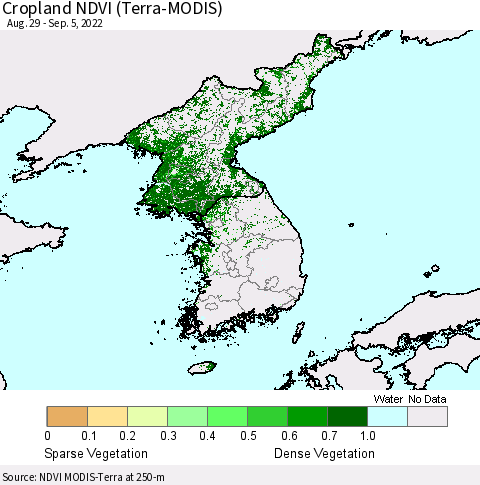 Korea Cropland NDVI (Terra-MODIS) Thematic Map For 8/29/2022 - 9/5/2022