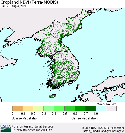Korea Cropland NDVI (Terra-MODIS) Thematic Map For 8/1/2023 - 8/10/2023