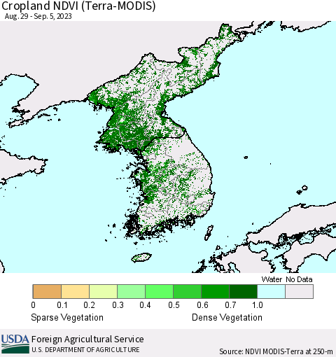 Korea Cropland NDVI (Terra-MODIS) Thematic Map For 9/1/2023 - 9/10/2023
