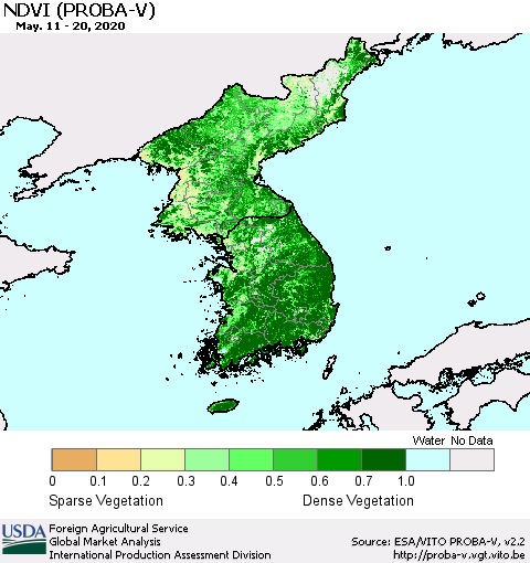 Korea NDVI (PROBA-V) Thematic Map For 5/11/2020 - 5/20/2020