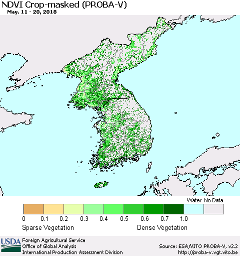 Korea NDVI Crop-masked (PROBA-V) Thematic Map For 5/11/2018 - 5/20/2018