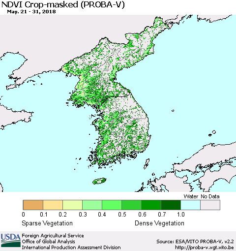 Korea NDVI Crop-masked (PROBA-V) Thematic Map For 5/21/2018 - 5/31/2018