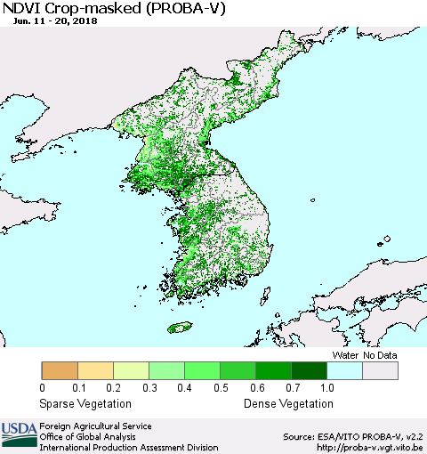 Korea NDVI Crop-masked (PROBA-V) Thematic Map For 6/11/2018 - 6/20/2018