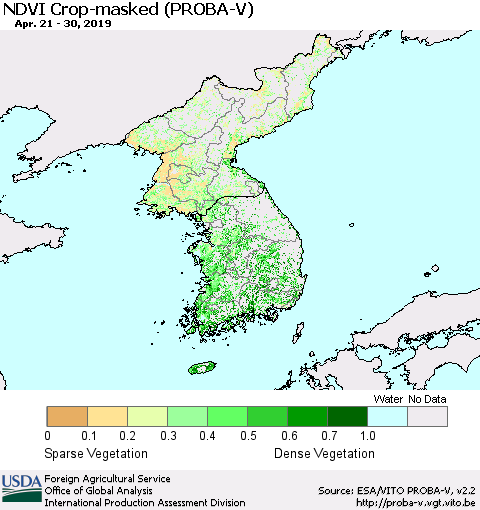 Korea NDVI Crop-masked (PROBA-V) Thematic Map For 4/21/2019 - 4/30/2019