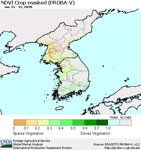 Korea NDVI Crop-masked (PROBA-V) Thematic Map For 1/21/2020 - 1/31/2020