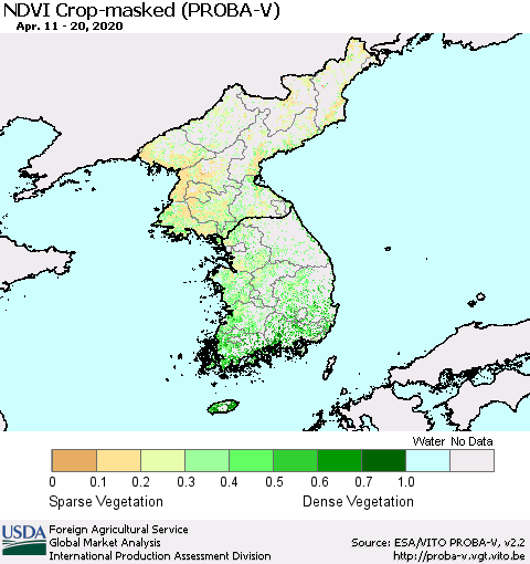 Korea NDVI Crop-masked (PROBA-V) Thematic Map For 4/11/2020 - 4/20/2020