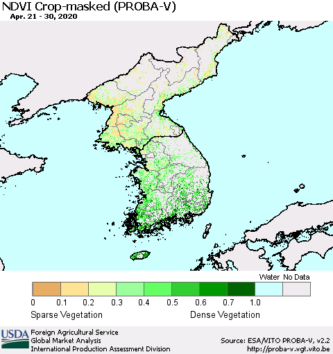 Korea NDVI Crop-masked (PROBA-V) Thematic Map For 4/21/2020 - 4/30/2020
