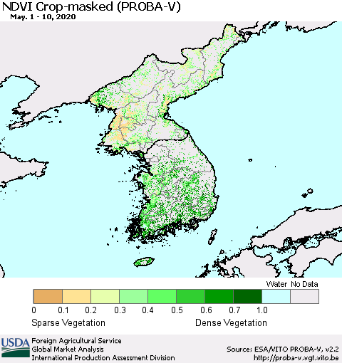 Korea NDVI Crop-masked (PROBA-V) Thematic Map For 5/1/2020 - 5/10/2020