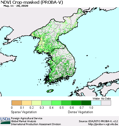 Korea NDVI Crop-masked (PROBA-V) Thematic Map For 5/11/2020 - 5/20/2020