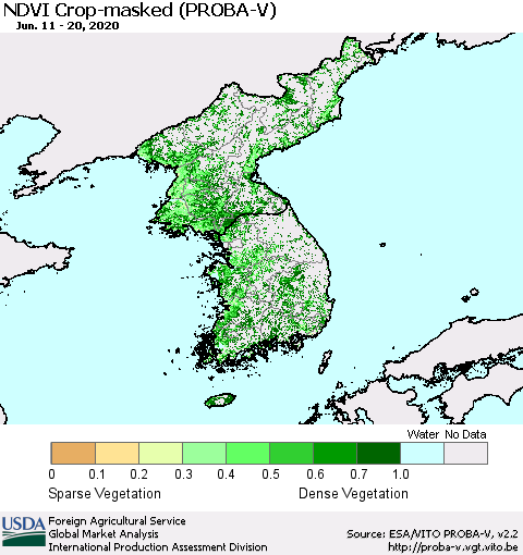 Korea NDVI Crop-masked (PROBA-V) Thematic Map For 6/11/2020 - 6/20/2020