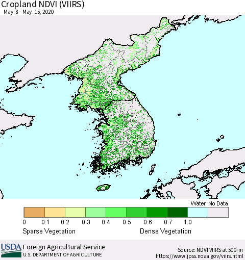 Korea Cropland NDVI (VIIRS) Thematic Map For 5/11/2020 - 5/20/2020