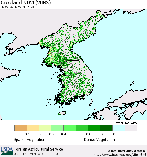 Korea Cropland NDVI (VIIRS) Thematic Map For 5/21/2020 - 5/31/2020