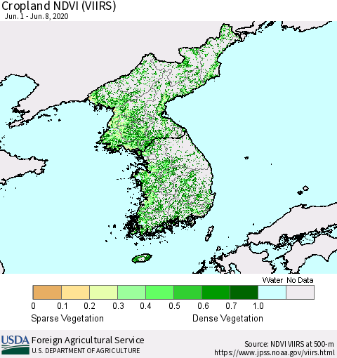 Korea Cropland NDVI (VIIRS) Thematic Map For 6/1/2020 - 6/10/2020