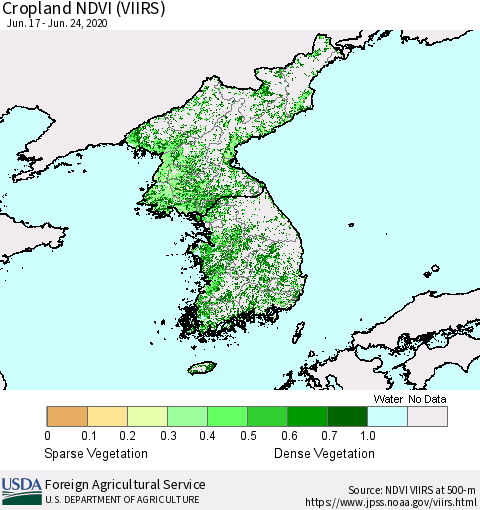 Korea Cropland NDVI (VIIRS) Thematic Map For 6/21/2020 - 6/30/2020