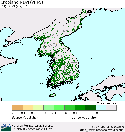 Korea Cropland NDVI (VIIRS) Thematic Map For 8/21/2020 - 8/31/2020