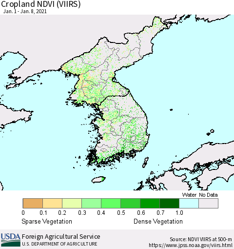 Korea Cropland NDVI (VIIRS) Thematic Map For 1/1/2021 - 1/10/2021