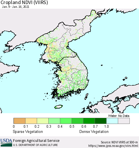 Korea Cropland NDVI (VIIRS) Thematic Map For 1/11/2021 - 1/20/2021