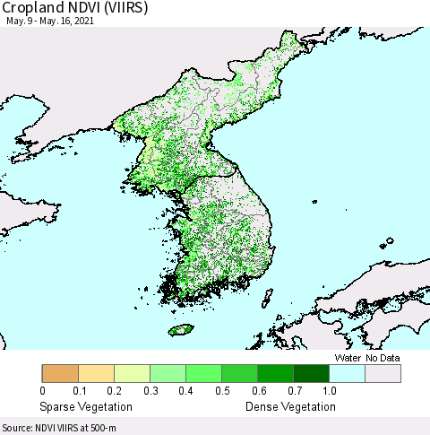 Korea Cropland NDVI (VIIRS) Thematic Map For 5/9/2021 - 5/16/2021