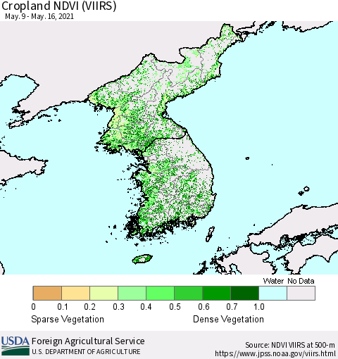 Korea Cropland NDVI (VIIRS) Thematic Map For 5/11/2021 - 5/20/2021