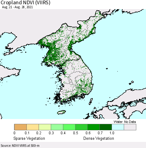 Korea Cropland NDVI (VIIRS) Thematic Map For 8/21/2021 - 8/28/2021