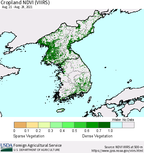 Korea Cropland NDVI (VIIRS) Thematic Map For 8/21/2021 - 8/31/2021