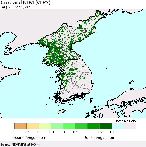 Korea Cropland NDVI (VIIRS) Thematic Map For 8/29/2021 - 9/5/2021