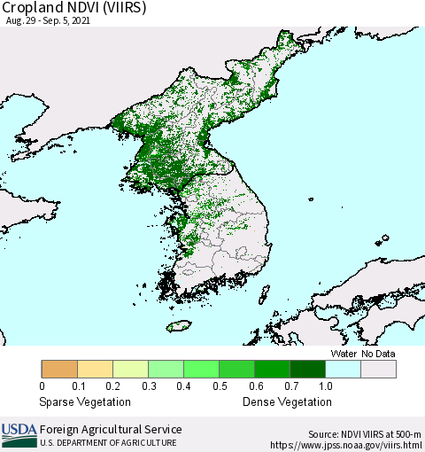 Korea Cropland NDVI (VIIRS) Thematic Map For 9/1/2021 - 9/10/2021