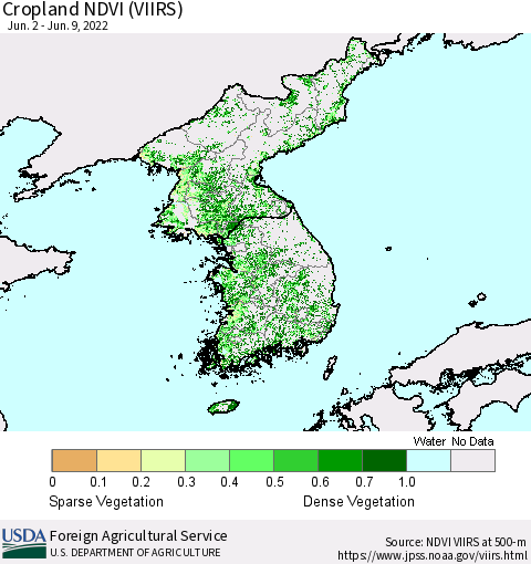 Korea Cropland NDVI (VIIRS) Thematic Map For 6/1/2022 - 6/10/2022